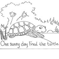 fred the turtle